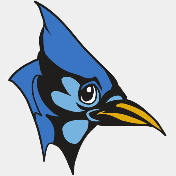 AR31 BLUEJAY 03 RQC Thumbnail