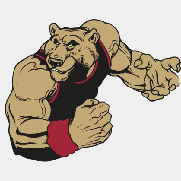 AR BEAR 40 RC Thumbnail