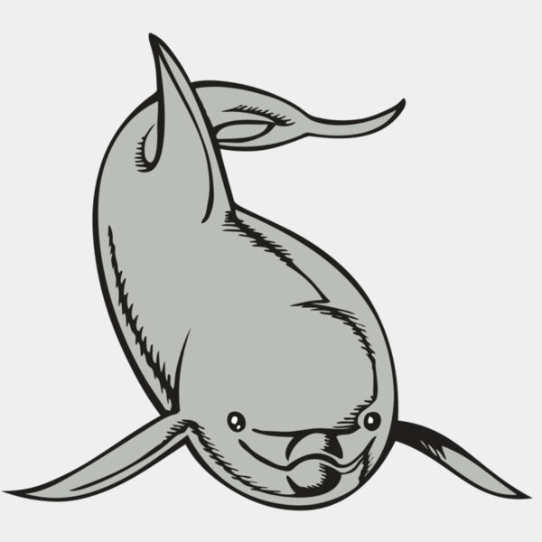 BAW DOLPHIN 02 RC Thumbnail