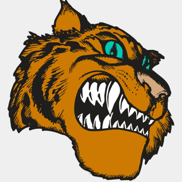 BAW TIGER 11 RC Thumbnail