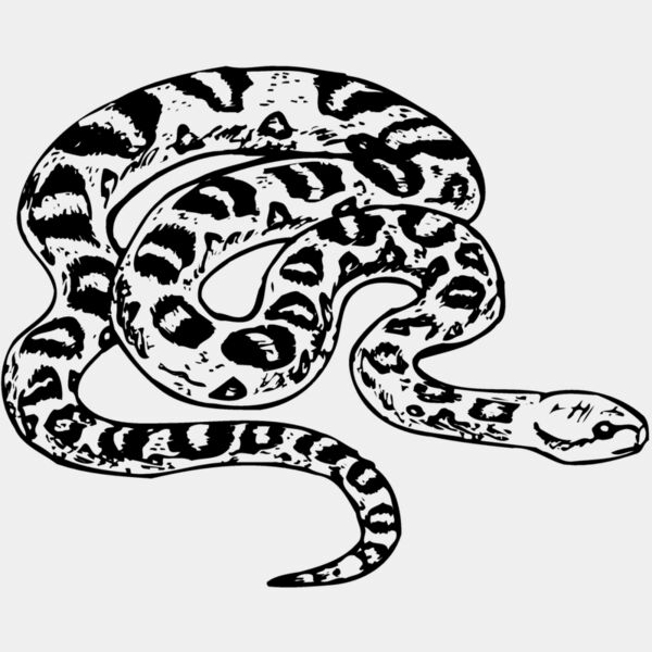 SNAKE001 Thumbnail