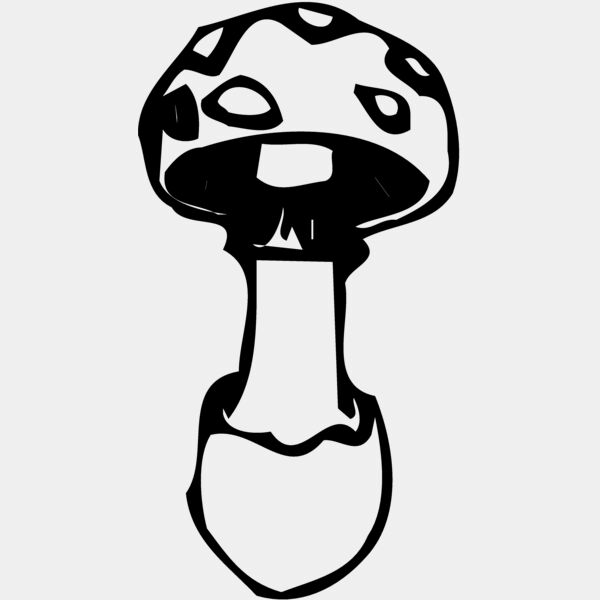 VEG027 Thumbnail