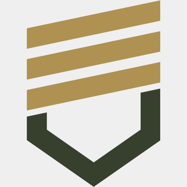 Military Shield Badge Chevron 1 Thumbnail